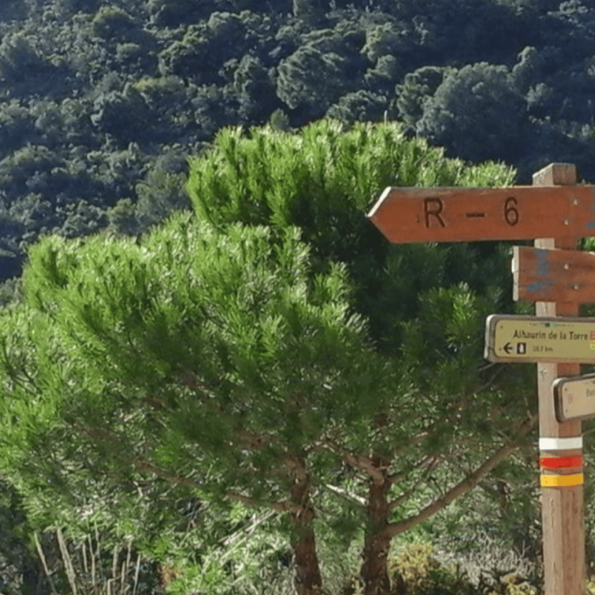 Rutas de Senderismo en Benalmádena: Naturaleza y Vistas